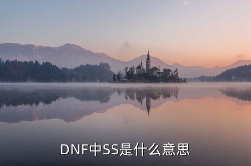 ngbss是什么，DNF武器cc和ss是指什么請?jiān)敿?xì)解釋