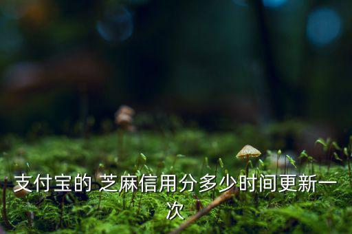 芝麻信用分什么時(shí)候更新，支付寶的 芝麻信用分多少時(shí)間更新一次