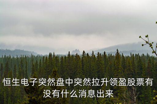 恒生電子突然盤中突然拉升領(lǐng)盈股票有沒(méi)有什么消息出來(lái)