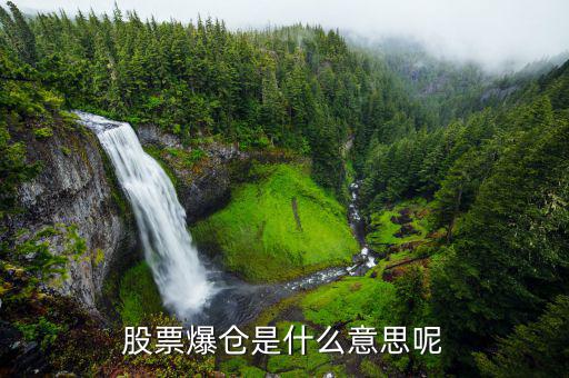 股票爆倉是什么意思，股市中的爆倉是什么意思