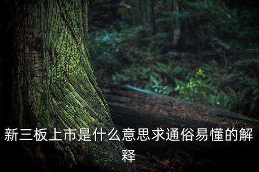 什么是新三板上市，新三板上市是什么意思求通俗易懂的解釋