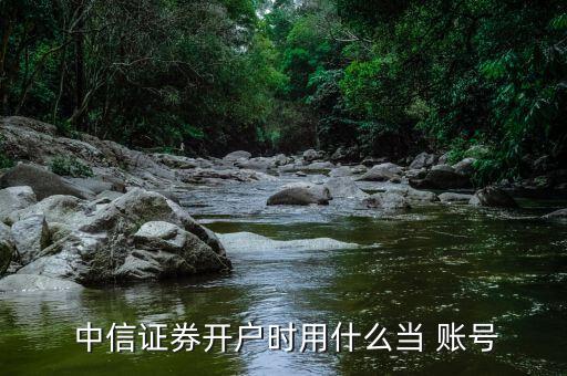 中信證券賬號(hào)怎么申請(qǐng),如何開設(shè)創(chuàng)業(yè)板賬戶?