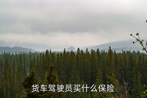 貨車(chē)司機(jī)買(mǎi)什么保險(xiǎn)好，大貨車(chē)買(mǎi)什么保險(xiǎn)最好