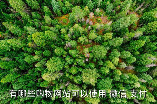 美麗說怎么用微信支付,家樂福全國(guó)門店均已聯(lián)網(wǎng)微信支付