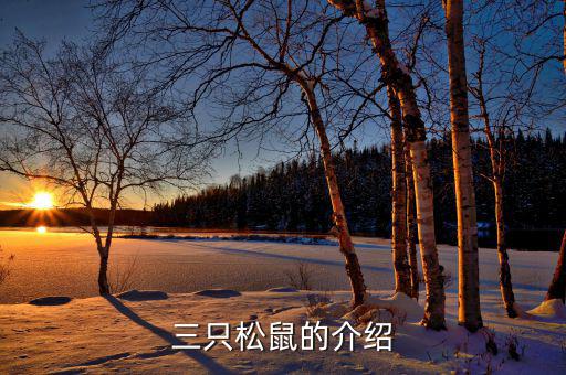 三只松鼠都做了什么，三只松鼠的銷售模式