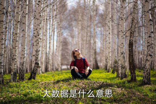 大數(shù)據(jù)什么意思，簡述什么是大數(shù)據(jù)