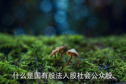 什么情況叫公眾持股，股份制上市企業(yè)誰能幫我解釋一下它是公企還是私企
