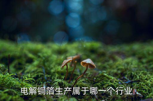 電子銅箔屬于什么行業(yè)，電解銅箔生產(chǎn)屬于哪一個(gè)行業(yè)