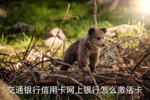 交通信用卡激活用什么手續(xù)，交通銀信用卡被注銷了怎么激活