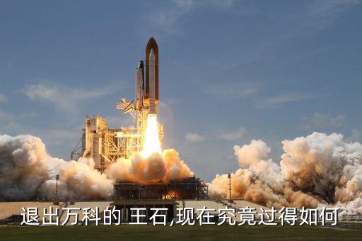 王石現(xiàn)在怎么樣,王瑞杰:等我成功，萬科就不需要王石