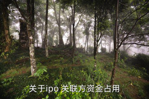 什么是關聯(lián)方資金占用，關于ipo 關聯(lián)方資金占用