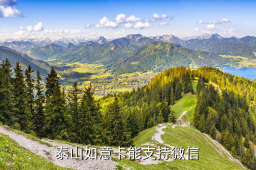 泰山如意卡vip是什么卡，泰山卡屬于什么銀行