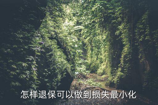 什么辦法能退保險不損失，退保怎樣能減少損失