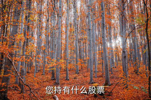 張正委持有什么的股票，香港中央代理人持有哪些股票