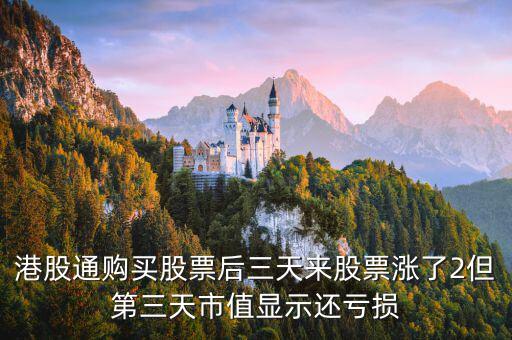 港股通購(gòu)買(mǎi)股票后三天來(lái)股票漲了2但第三天市值顯示還虧損
