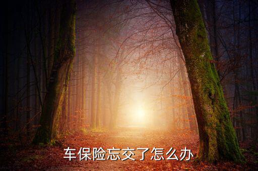 車(chē)險(xiǎn)忘了續(xù)保怎么辦,保險(xiǎn)到期忘買(mǎi)怎么辦?三招助你續(xù)保
