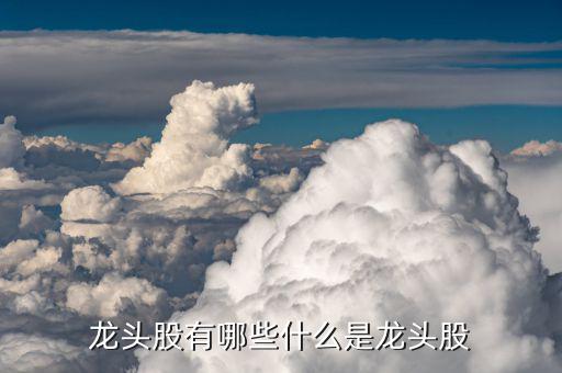 金馬股份怎么樣,部分熱門板塊的龍頭股介紹:比亞迪、金馬股份