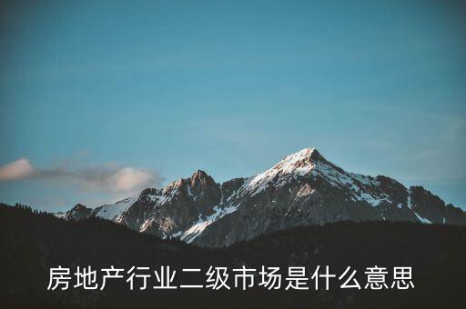 什么是二級(jí)行業(yè)，會(huì)計(jì)中所說的一級(jí)二級(jí)市場(chǎng)是指什么