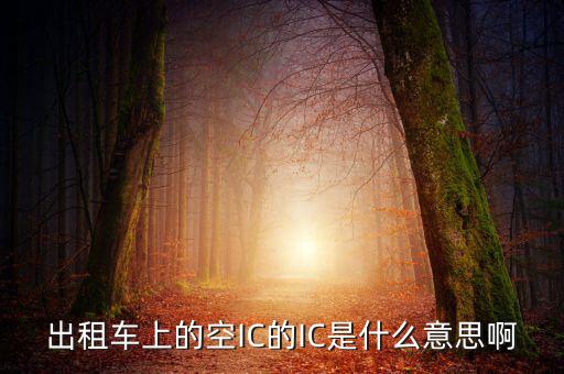 什么是ic空白卡，IC卡是什么