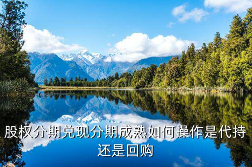 什么叫股權(quán)成熟期，VCPE什么意思