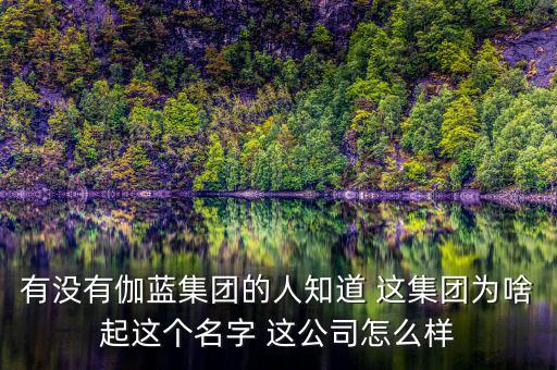 伽藍集團為什么不上市，伽藍集團是一家什么企業(yè)