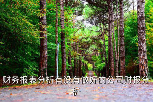 初學(xué)者財務(wù)分析分析什么公司，投資公司財務(wù)分析范文