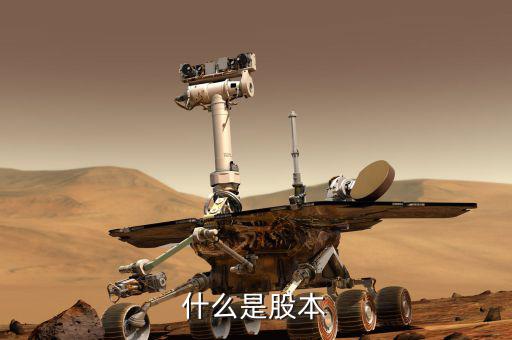 股票股本是什么意思，股本的概念