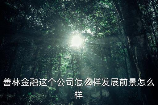 善林公司經(jīng)營(yíng)什么，善林金融這個(gè)公司怎么樣發(fā)展前景怎么樣
