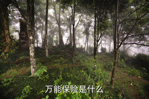 萬能壽險是什么意思，萬能保險是什么