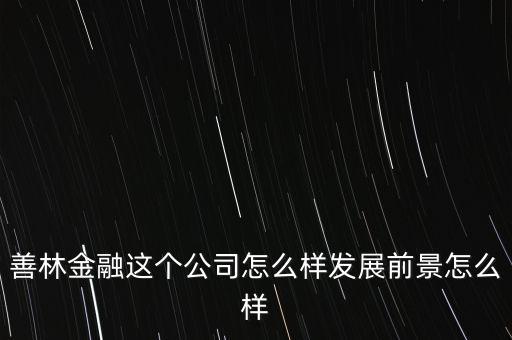 善林金融這個(gè)公司怎么樣發(fā)展前景怎么樣