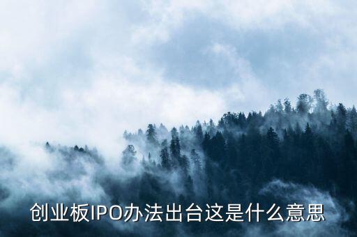 創(chuàng)業(yè)板ipo是什么意思，什么是創(chuàng)業(yè)板IPO泡沫