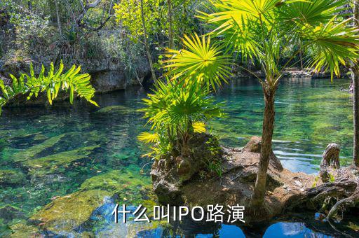 什么叫ipo路演，什么叫IPO路演