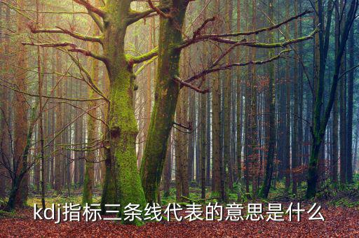 股票過頭是什么意思，關(guān)于股票的一些問題