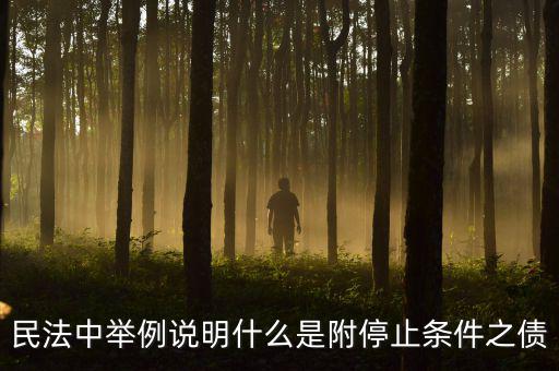 附停止條件的合同是什么意思，請教一下 怎么理解附條件和附期限合同啊 最好舉個(gè)例子 萬分感謝  搜