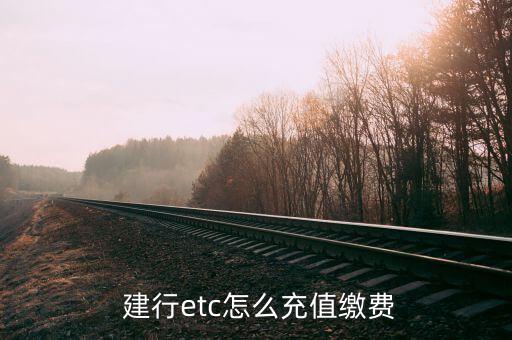 建行etc卡怎么收費,中國建設(shè)銀行提供在線充值和支付服務