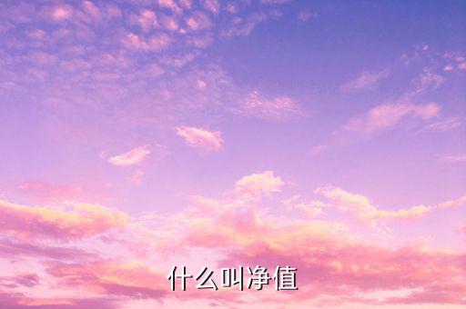 什么是凈值類理財產(chǎn)品，凈值型理財產(chǎn)品是什么意思