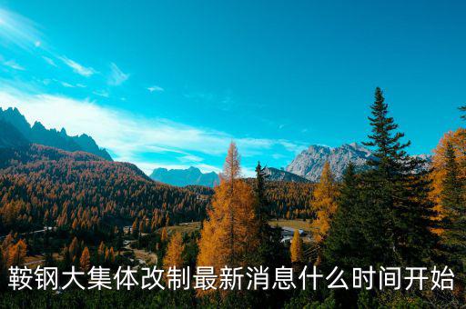 鞍鋼什么時間改制，鞍鋼大集體改制最新消息什么時間開始