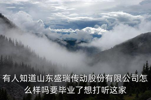 盛瑞企業(yè)是干什么的，南京銳盛互聯(lián)網(wǎng)科技有限公司主要是做什么的