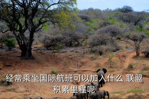 星空聯(lián)盟積分怎么算,南航、東航可通過(guò)明珠卡共享積分等