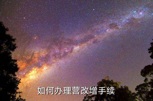房地產(chǎn)經(jīng)紀(jì)及咨詢(xún)企業(yè)營(yíng)改增需要什么資料，如何辦理營(yíng)改增手續(xù)