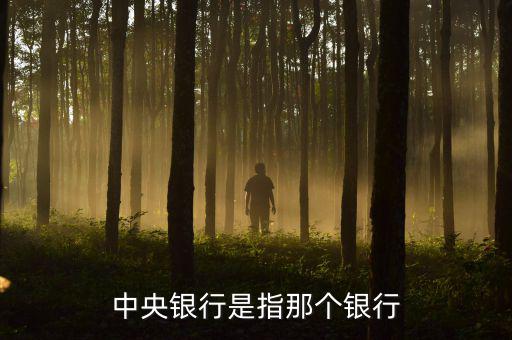 央行是指什么行，中央銀行是指那個銀行