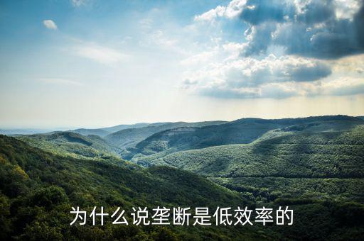 壟斷的無效率是什么，為什么說壟斷會導(dǎo)致低效率