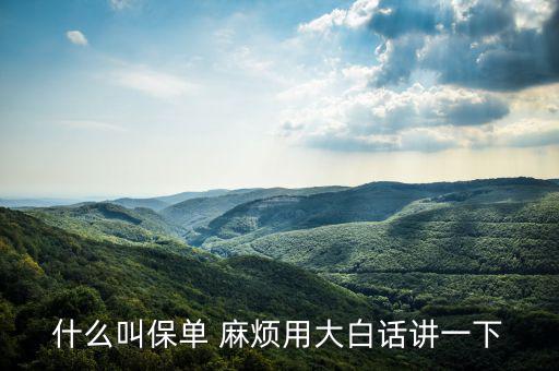 什么是保單，什么是保單