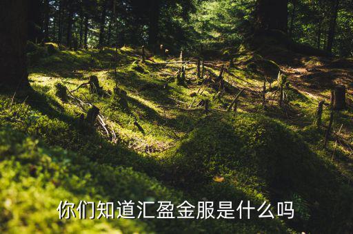 存匯盈是什么，存兌匯票是什么東東具體含義一定要說的詳細(xì)點啊