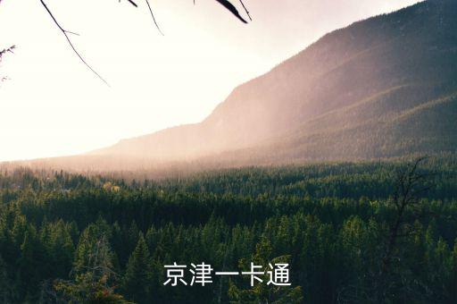 京津冀公交卡一體卡是什么樣子的，在北京辦的藍色的公交卡是可以在石家莊所有公交用了嗎還是說京津