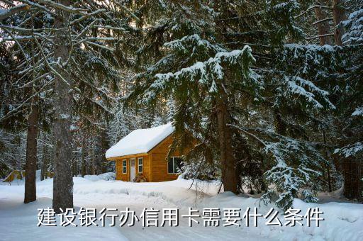 辦理建設(shè)銀行信用卡需要什么條件，建設(shè)銀行辦信用卡需要什么條件