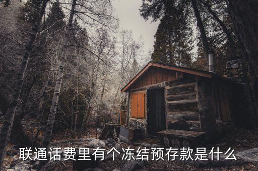 凍結(jié)預(yù)存款是什么意思，聯(lián)通話費(fèi)里有個(gè)凍結(jié)預(yù)存款是什么