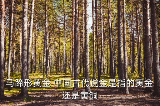 中國古代的黃金是什么，古代中國都使用了哪些金屬