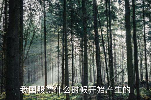 股票什么時候出來的，股票是什么時候出現(xiàn)的從世界范圍看
