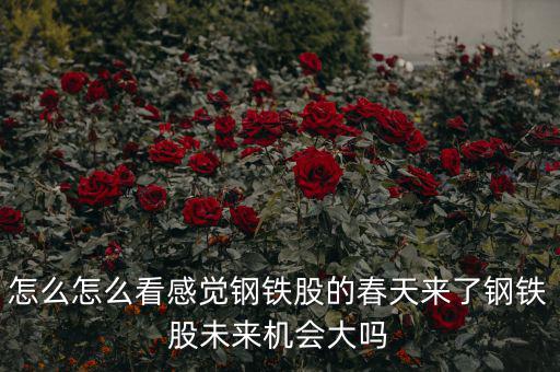 包鋼集團(tuán)是什么性質(zhì)，中國包頭大企業(yè)都有哪些什么性質(zhì)